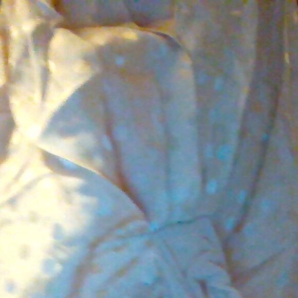 Beautiful BCBGMaxazria Parfait Sleeveless Silk Polka Dot Dress - Picture 14 of 15